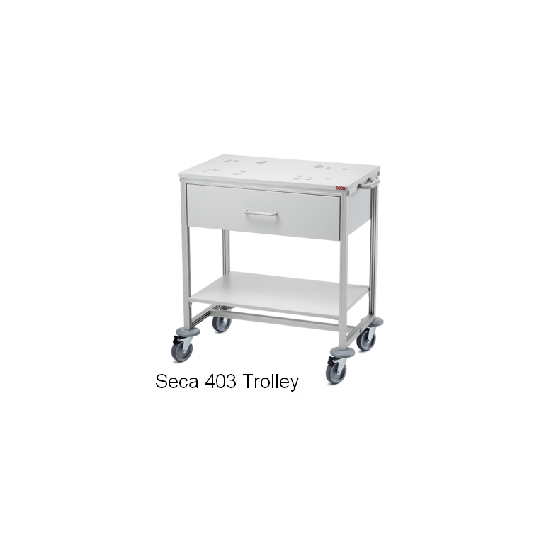 Seca 403 Trolley