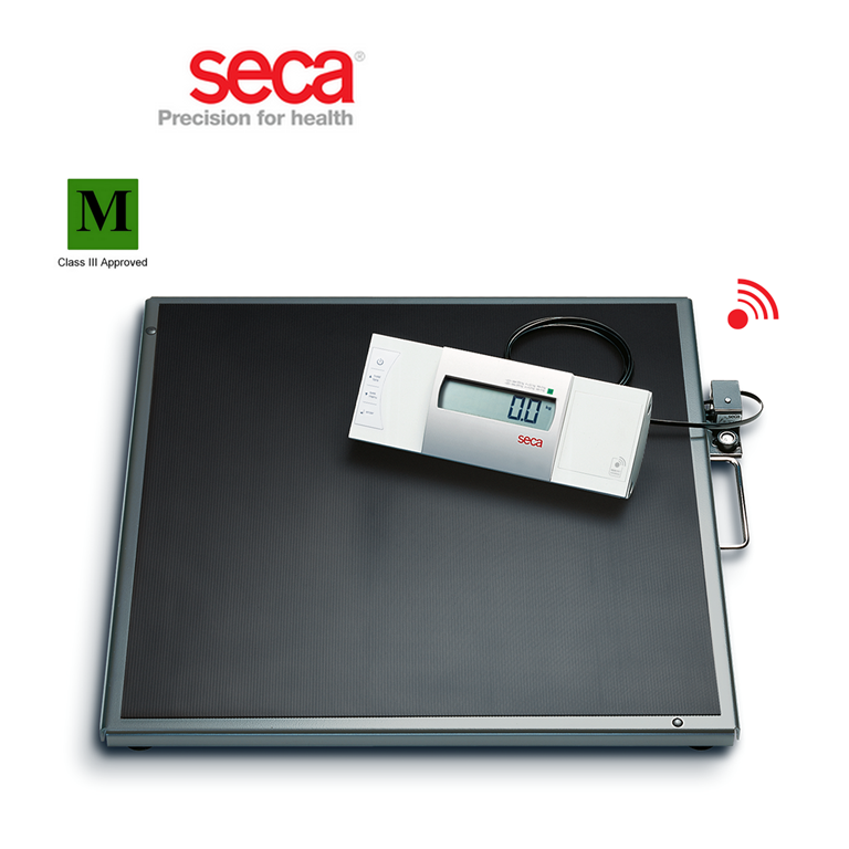 Seca 635 Flat Scale with Large Platform