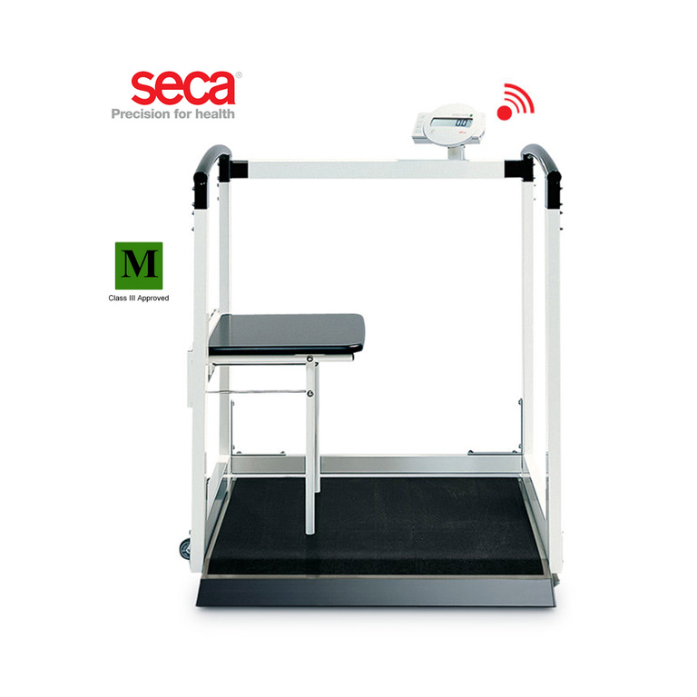 Seca 685 Multi-function Scale