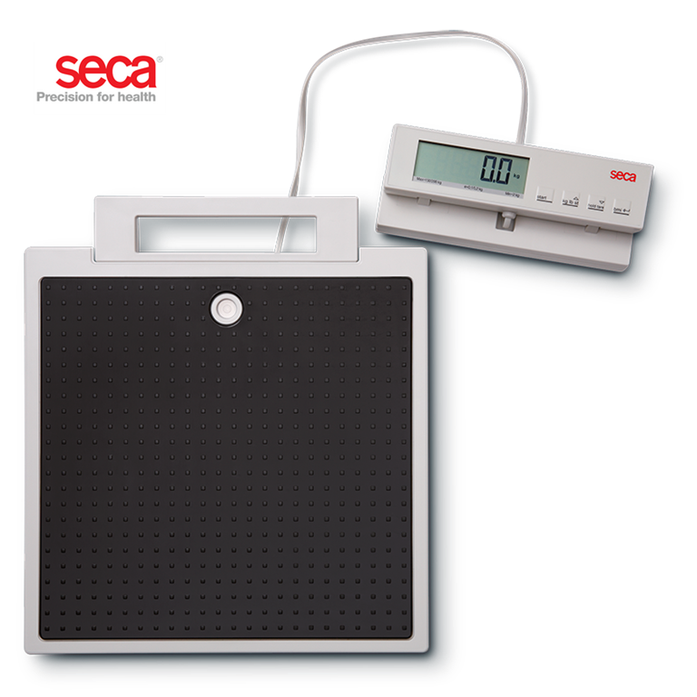 Seca 869 Flat Scale 