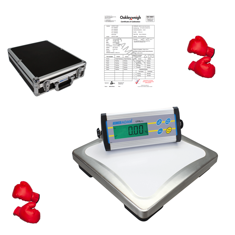 AE Professional Boxing Scale