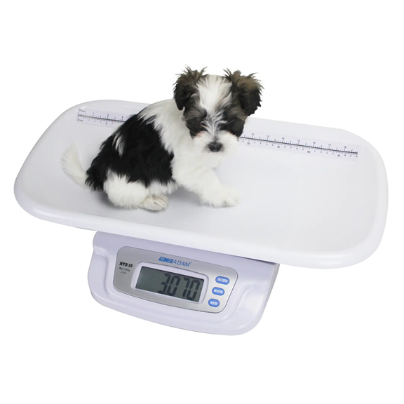 https://www.oakleyweigh.co.uk/images/products/thumb/Adam-MTB-Small-Pet-Scale-230815095607-1.png
