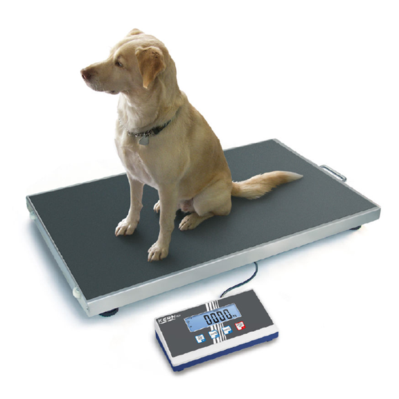 Courier - ideal pet weighing scales to keep your pets healthy